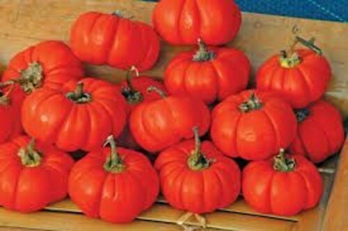 Fresh Red Pumpkin - Grade A, 100% Freshness, Round Shape | Easy To Digest, Chopped, Best Preserved in Cool & Dry Places