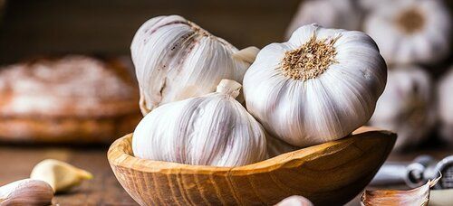 Fresh White Garlic for Cooking