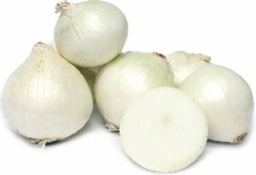 Fresh White Onion For Cooking