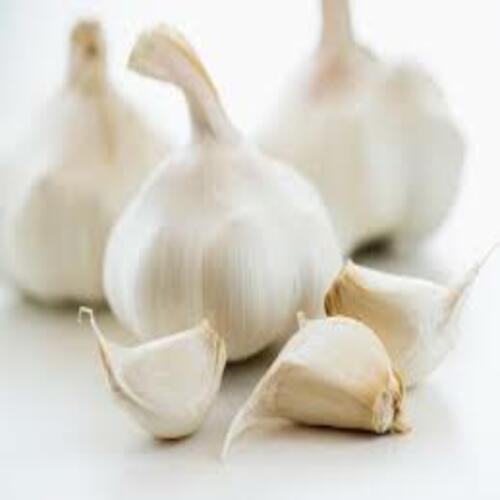 Healthy and Natural Fresh Garlic