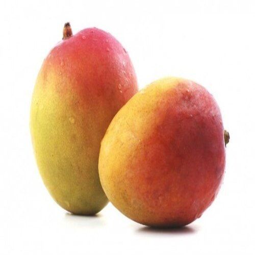 Healthy and Natural Neelam Mango