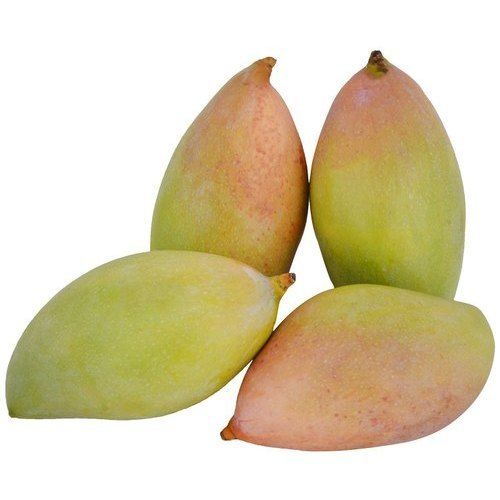 Healthy and Natural Totapuri Mango