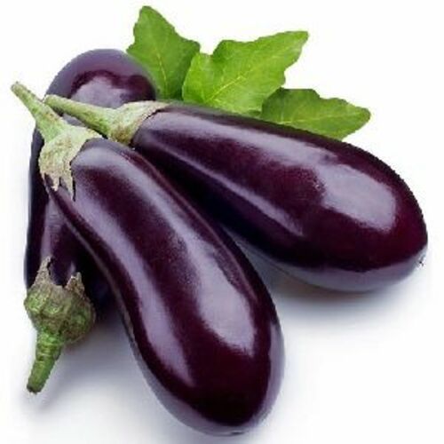 Organic Fresh Brinjal For Cooking Preserving Compound: Cool & Dry Places