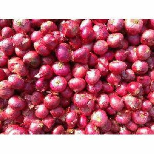 Small Red Onion For Cooking Preserving Compound: Cool & Dry Places