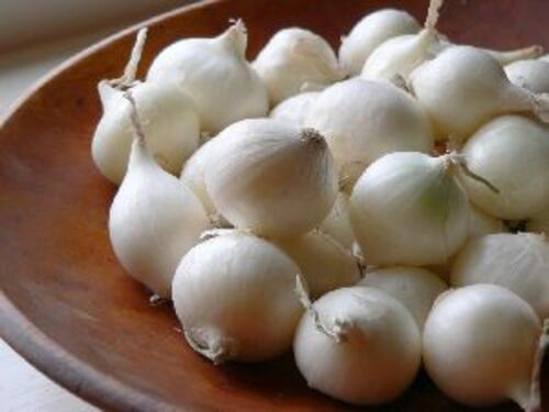Small White Onion for Cooking