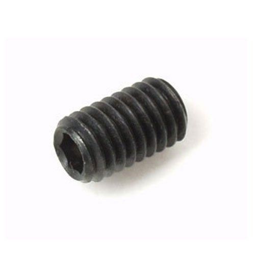 Polished Black Allen Grub Screw