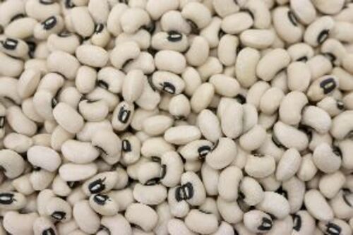 Black Eyed Beans - Organic, Dried, Natural, Food Grade | Fresh Cooking Ingredient, High In Protein, Promotes Health, From India