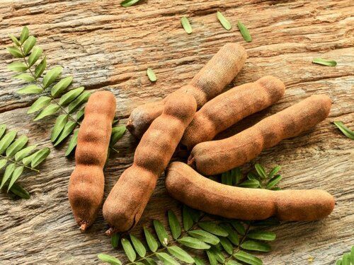 Fresh Brown Tamarind for Food