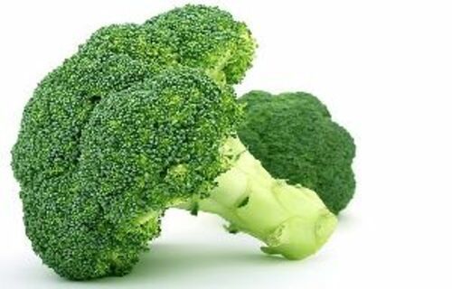 Fresh Green Broccoli for Cooking