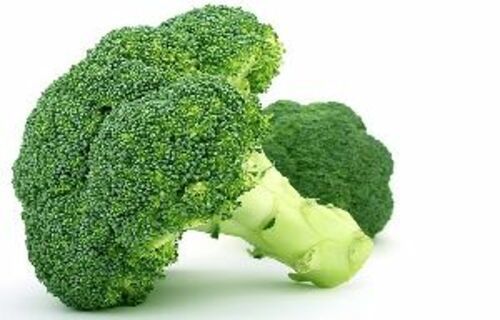 Fresh Green Broccoli For Cooking Preserving Compound: Cool & Dry Places