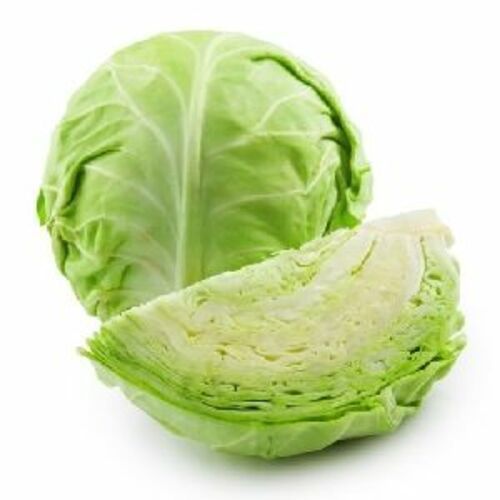 Fresh Green Cabbage for Cooking