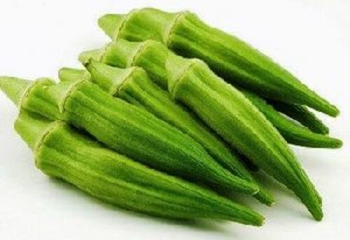 Fresh Green Okra For Cooking