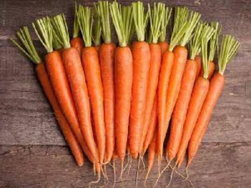 Fresh Natural Carrot For Food Preserving Compound: Cool & Dry Places