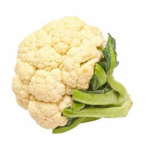 Fresh Natural Cauliflower For Cooking Preserving Compound: Cool & Dry Places