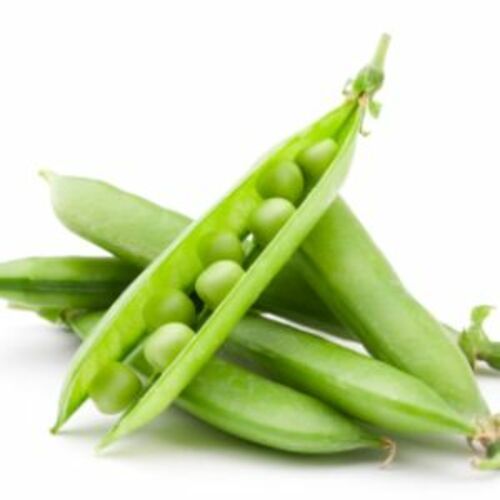 Fresh Natural Green Peas