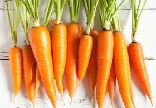 Fresh Orange Carrot for Cooking