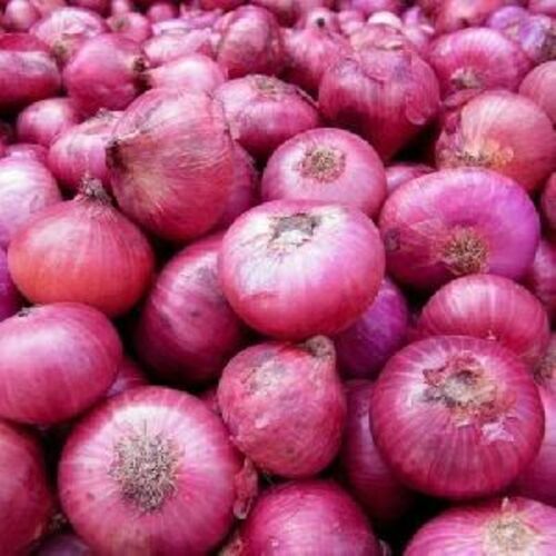 Fresh Pink Onion For Cooking