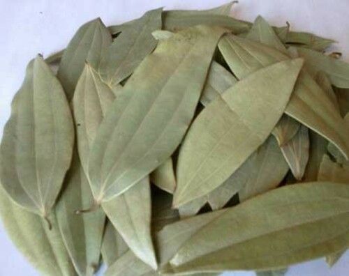 Green Bay Leaves for Cooking