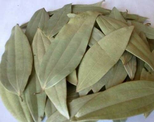 Green Bay Leaves For Cooking Grade: Food Grade