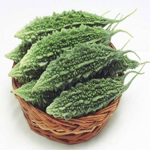 Natural Fresh Bitter Gourd - 10 Kg Pack, 48% Vitamin A, 92% Vitamin C | Non Harmful, Natural Taste, Very Good Quality, Cool and Dry Storage