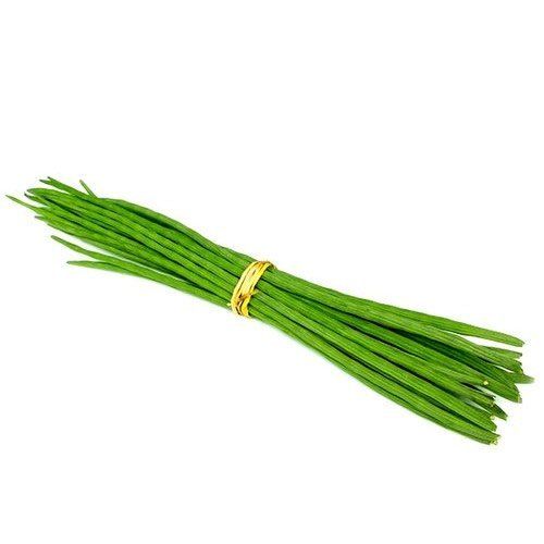 Organic Fresh Drumsticks - 50 Kg A Grade, Pesticide Free, Natural Taste, Very Good Quality, Ideal for Cooking