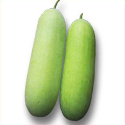 Healthy and Natural Fresh Wax Gourd