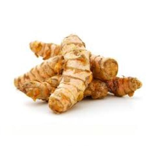 Healthy and Natural Turmeric Rhizomes