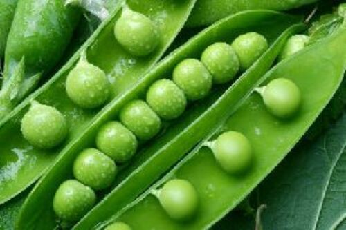 Organic Green Peas for Cooking