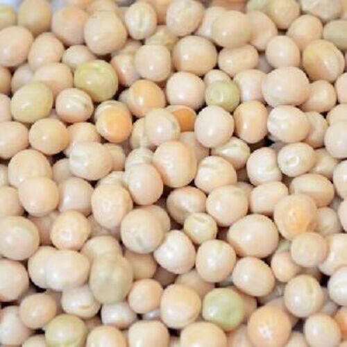 Organic White Chickpeas for Cooking