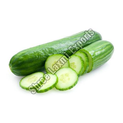 Healthy and Natural Fresh Cucumber