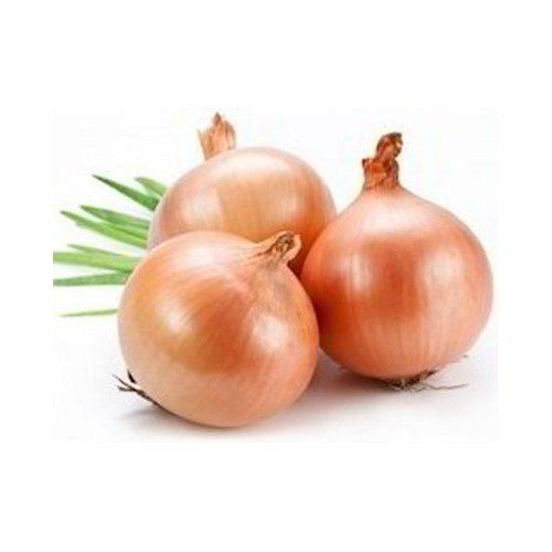 Round Healthy And Natural Fresh Yellow Onion