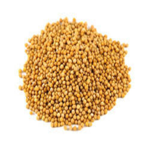 A Grade Yellow Mustard Seeds