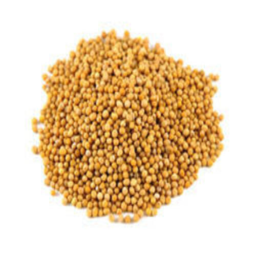 Black A Grade Yellow Mustard Seeds