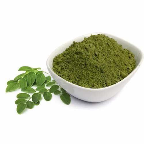 Green Moringa Extract Powder