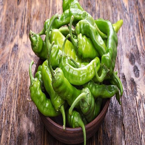 Healthy and Natural Fresh Indian Green Chilli