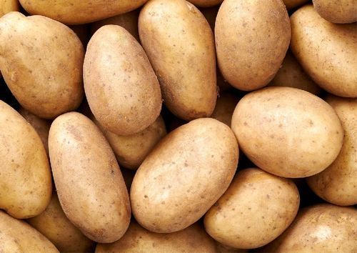 Round Organic And Natural Fresh Potato