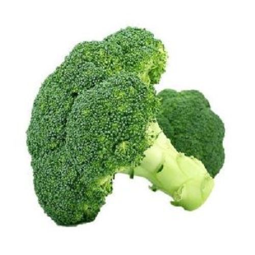 Fresh Green Broccoli For Cooking Preserving Compound: Cool & Dry Places