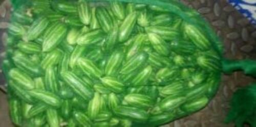 Fresh Pointed Gourd for Cooking