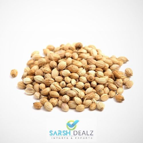 Healthy and Natural Coriander Seeds