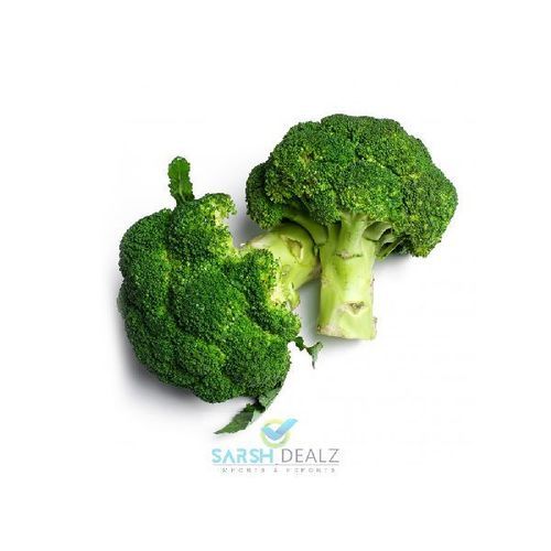 Healthy and Natural Fresh Broccoli