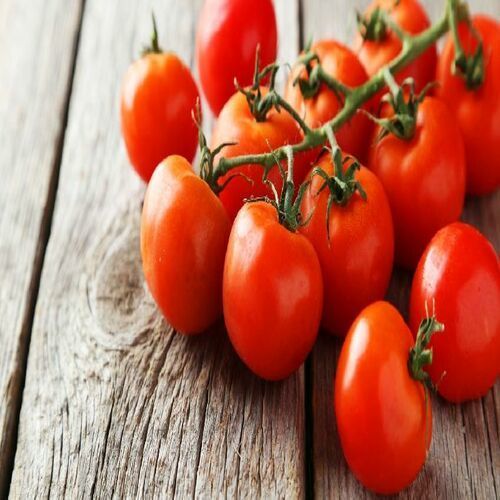 Healthy and Natural Fresh Natural Tomato