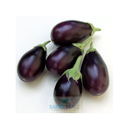 Healthy and Natural Fresh Voilet Brinjal