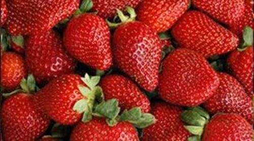 Organic Fresh Strawberry Fruits