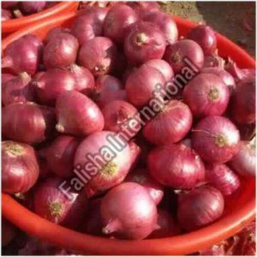 Fresh Nashik Onion For Cooking