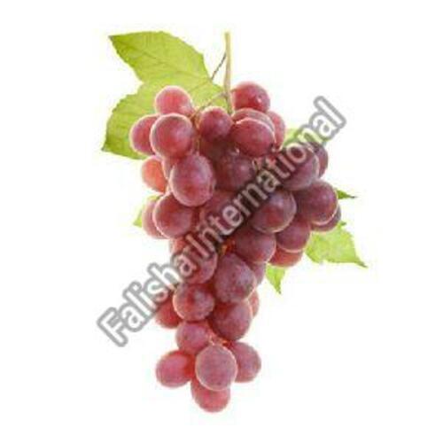 Organic Fresh Red Grapes Fruits