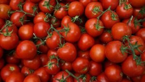 Fresh Red Tomato For Cooking