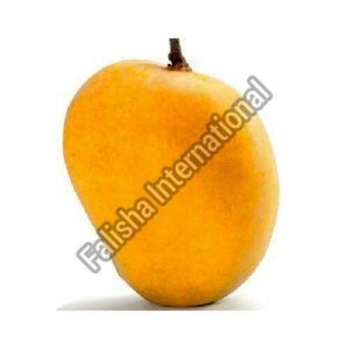 Fresh Yellow Hapus Mango