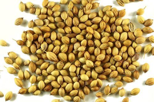 Brown Healthy And Natural Coriander Seeds