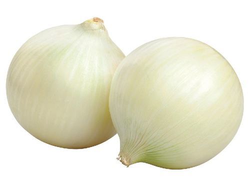 Round Healthy And Natural Fresh White Onion