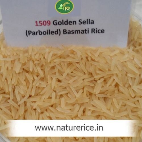 1509 Golden Sella Basmati Rice